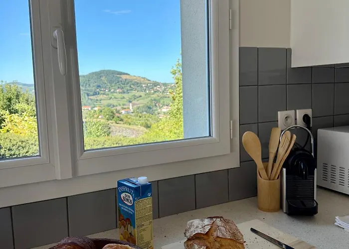 La Terrasse De Compostelle Апартаменты Espaly-Saint-Marcel